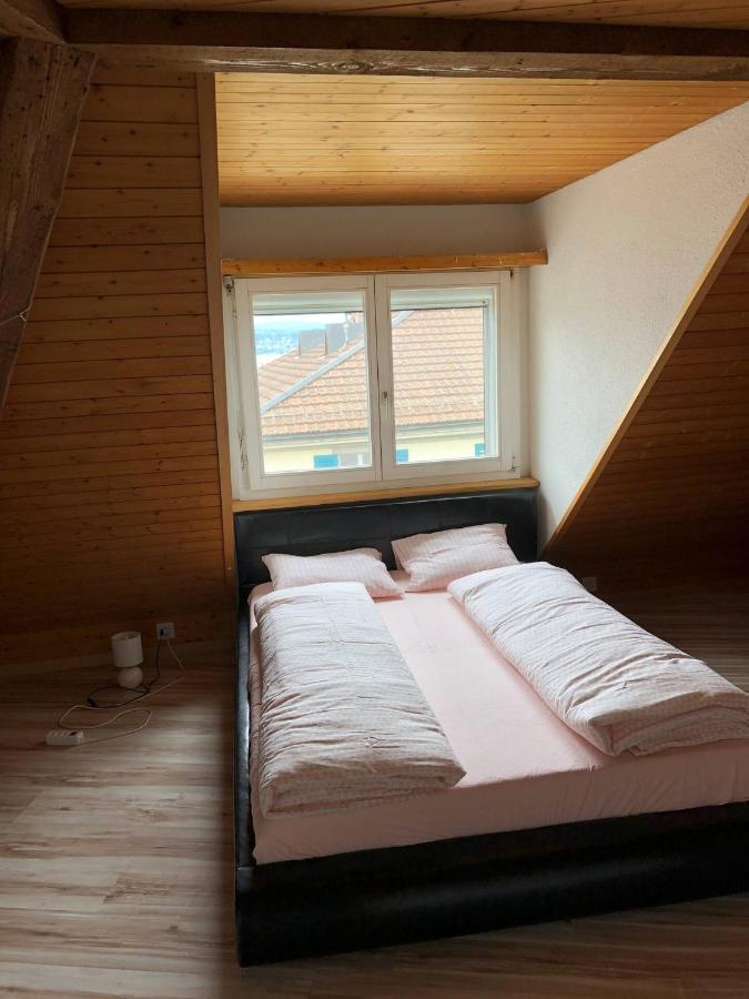 Wädenswil 3 Zimmer Wohnung genau beim Zürichsee Exterior foto